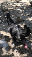 0894A25B-4E33-4F3D-A68F-917D3BE5DF03.png