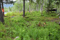 DSC_0121_mod.jpg DSC_0121_mod.jpg