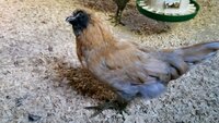 VideoCapture_20190627-103425.jpg