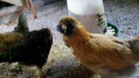 VideoCapture_20190627-103210.jpg
