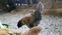 VideoCapture_20190627-103153.jpg