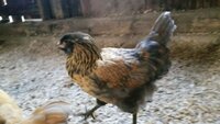 VideoCapture_20190627-103145.jpg