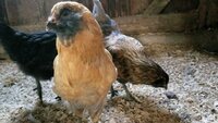 VideoCapture_20190627-103059.jpg