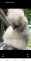 Screenshot_2019-06-26-13-59-06.png