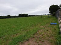 20190627_071919.jpg