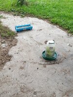 20190627_070528.jpg