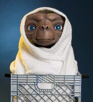 0F3B24BB-8E98-43C4-9AA2-D3AB0BFDC90E.jpeg