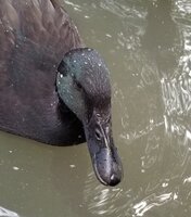 20190627_212717.jpg