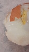 386783CC-CF79-4A92-8332-59FC5C5CB1CA.jpeg