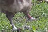 20190628_063332.jpg