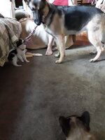 20190627_160058.jpg