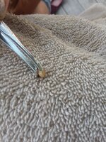 20190629_144301.jpg 20190629_144301.jpg