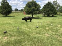 D5D7B768-B69C-40E5-AF78-12F80AFAD33C.jpeg