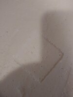 20190630_135444.jpg