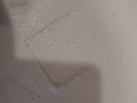 20190630_135453.jpg