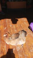 20190420_161649.jpg