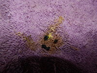 DSCN1808.JPG
