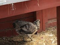 14040E94-5C2C-4B29-9013-F2155B833D73.jpeg