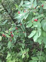 0887E529-2AD1-4C05-B1F8-565682972582.jpeg