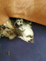 20190702_182251.jpg