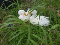 IMG-20190608-WA0017.jpg