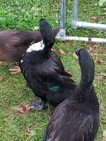 20190702_200529.jpg
