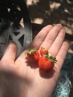 F0B7EE64-2DB8-4625-86E3-B1B021C47B4E.jpeg