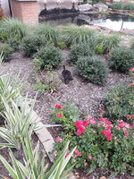 20190701_150341.jpg