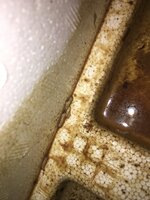 348BB0C8-E5C3-4733-AE27-7F0B048A1CEE.jpeg