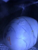 4DBE178E-8DB7-49BD-B7BA-8E013D8ACFFC.jpeg