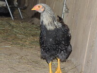 DSCN1450.JPG