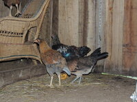 DSCN1440.JPG