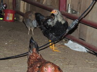 DSCN1435.JPG