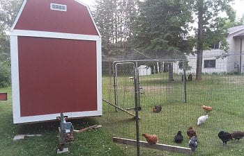 My 6X12 mobile chicken build on an old boat trailer