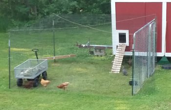 20190706_085659.jpg