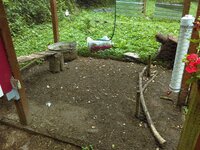 IMAG0009.jpg