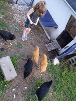 IMG_20190706_201535.jpg