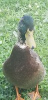 20190706_152045.jpg