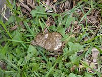 IMG_20190707_153843.jpg