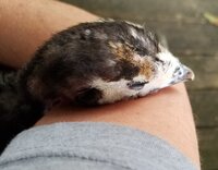20190707_192307.jpg