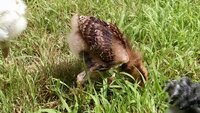 IMG_20190708_104048373.jpg