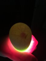 36DD3F92-B131-46BD-A14F-E6E167587A7B.jpeg