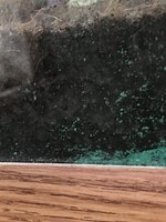 4A360ED1-53CA-44AD-B176-43768E8247D3.jpeg