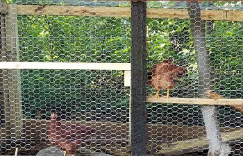 20190707_170713.jpg