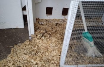 Brooder with clean out door.jpg