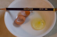 fairy egg opened.jpg