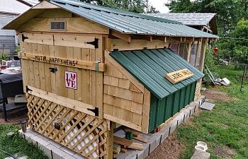 NEST BOX.jpg