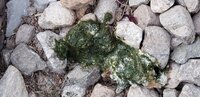 20190710_063819.jpg 20190710_063819.jpg