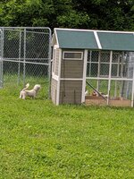 MVIMG_20190602_141911.jpg