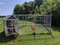 MVIMG_20190713_142728.jpg